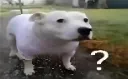 huh
