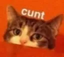 cuntcat Discord Emoji