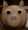 pony_stare