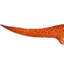 newt_1