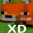 fox_xd