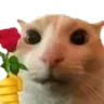 catrose