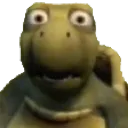thewhat