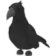 Pet_Crow