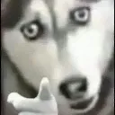 emoji_43