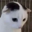 creature_sad creature_sad