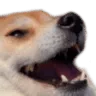 DoggoKek DoggoKek