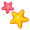 starfish