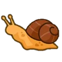 snail