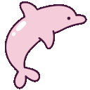 dolphin