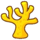 coral