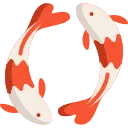koifish