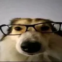 ner