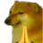 gg_dog_namasthe