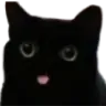 cat_tongue2