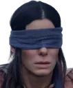 birdboxblind
