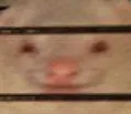 ferretsmile