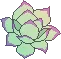 dp0_Plant1z