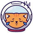 C_SpaceCatCry_P2UDNS Discord Emoji