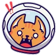 C_SpaceCatScared_P2UDNS Discord Emoji