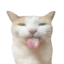 Cat2 cat2 Discord Emoji