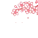 Flowers_Pinkie_MCdns