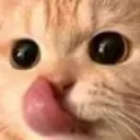 YUM