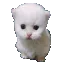 ewpert