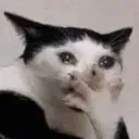 dahlisad