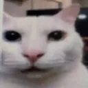 why