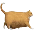 OHLAWDHECOMIN