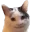 theshadowpersonwatchingyousleep