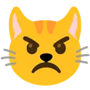 angrycat angrycat