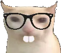 NerdCatMG
