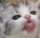 Blehhhh