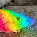 Geh_Rat Geh_Rat