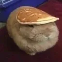 buncake
