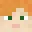 head_npc