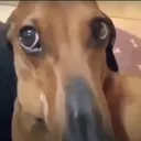 huh