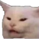 nipon