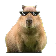 willde14CapybaraSwag