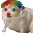 dogeclown