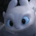 LF_snarling