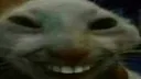 xdd