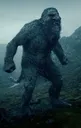 troll troll