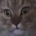 nononono
