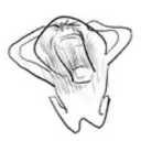 vivi_SCREAMS