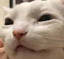 huh