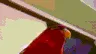 parrot_gun parrot_gun