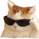 catto